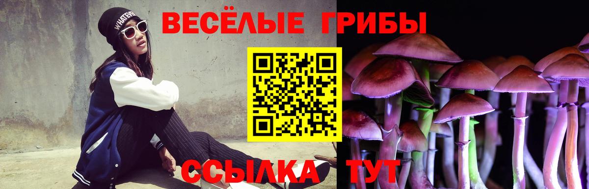 Саранск  Галлюциногенные грибы ЛСД  Вход с VPN 