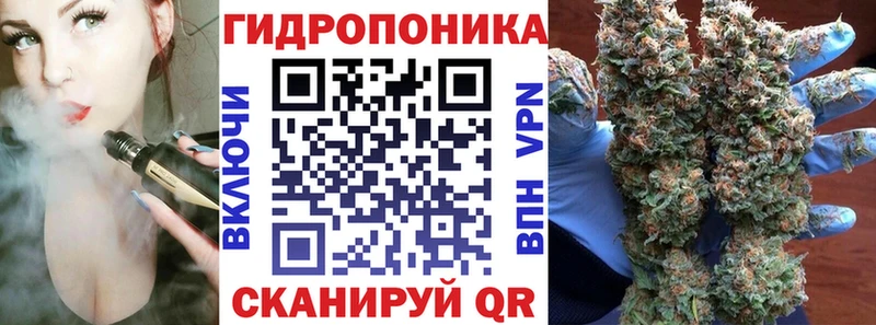Бошки Шишки THC 21% Саранск
